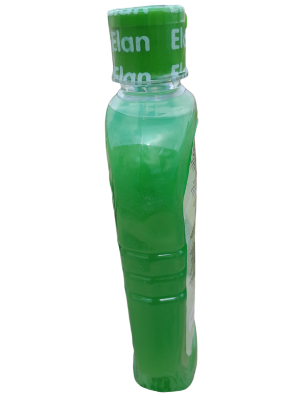 Elan Aloe Vera Mentholated Shampoo - 500ml - Image 2
